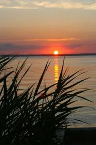 Winter workshop in St Petersburg Beach Florida, Souldrama Jan 14-18, 2016, spiritual workshops, spirituality and psychology, training in Psychodrama and group action methods, Connie Miller TEP